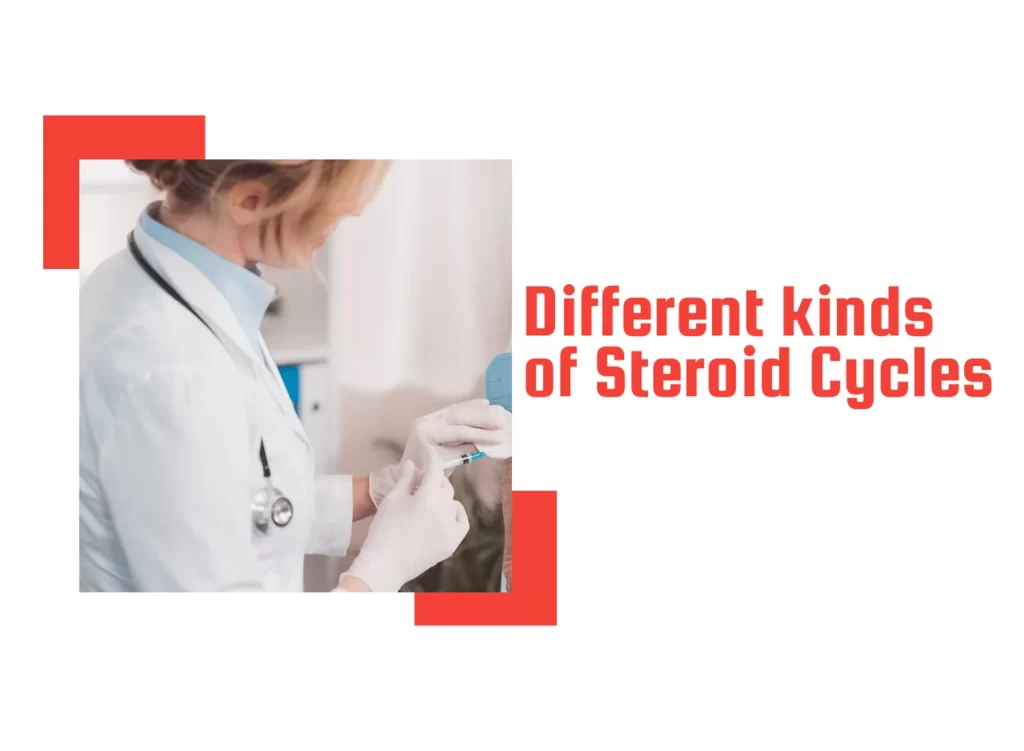 Different kinds of Steroid Cycles