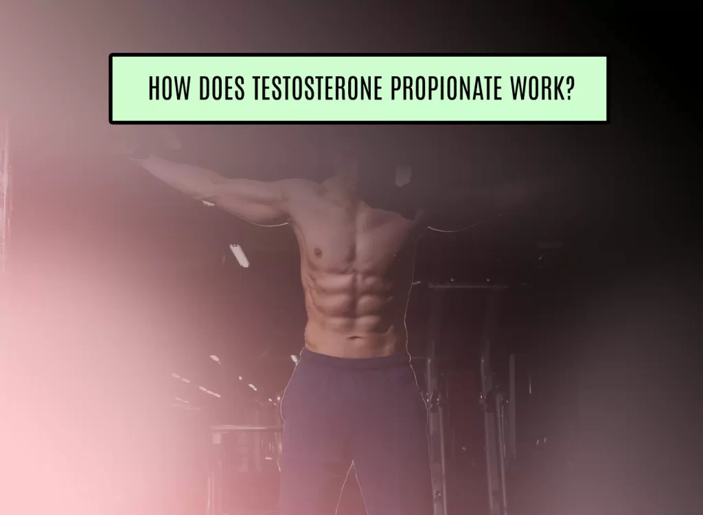 How Does Testosterone Propionate Work