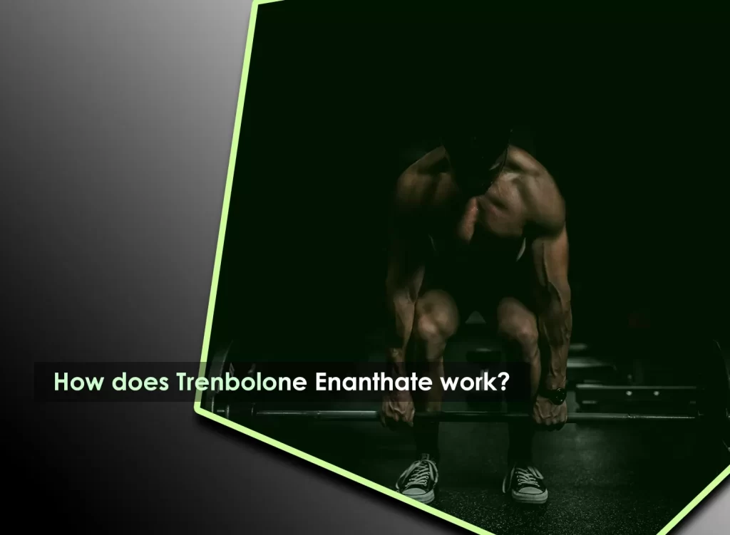 How Trenbolone Enanthate work