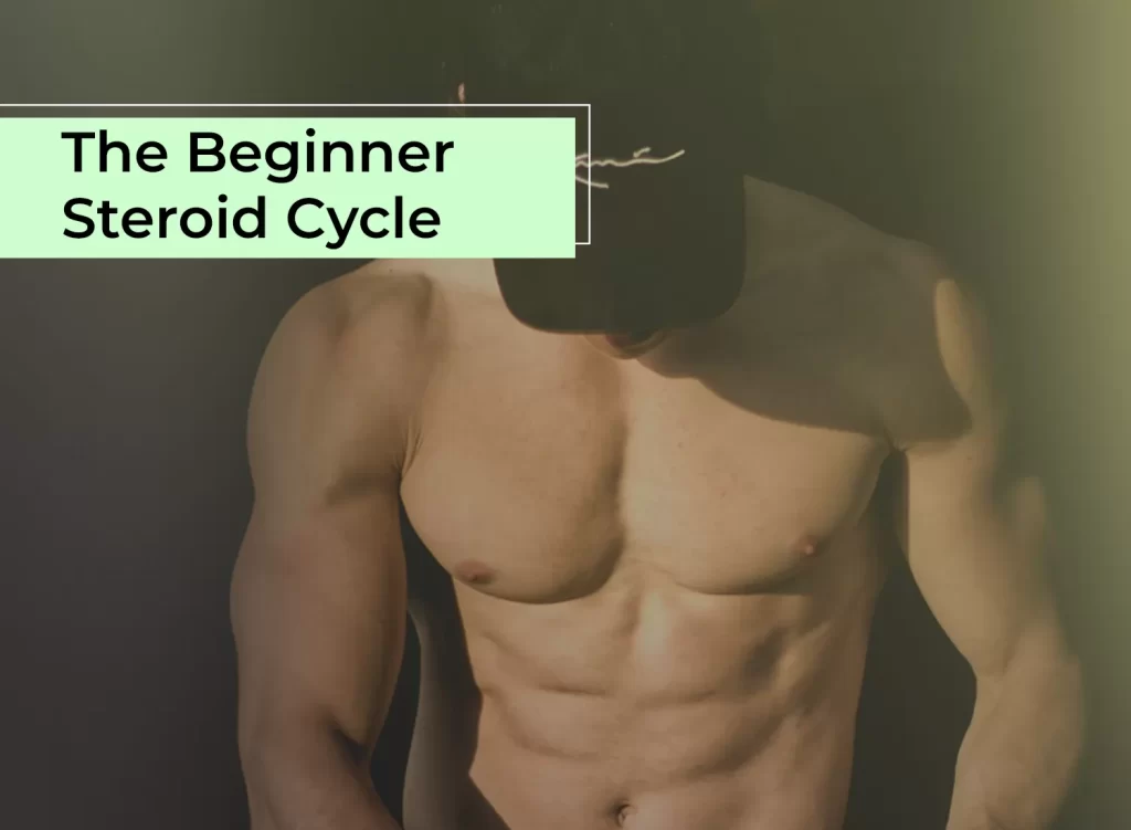 The Beginner Steroid Cycle