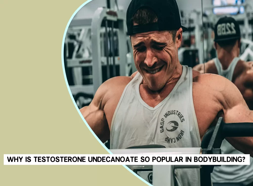 Why is Testosterone Undecanoate popular