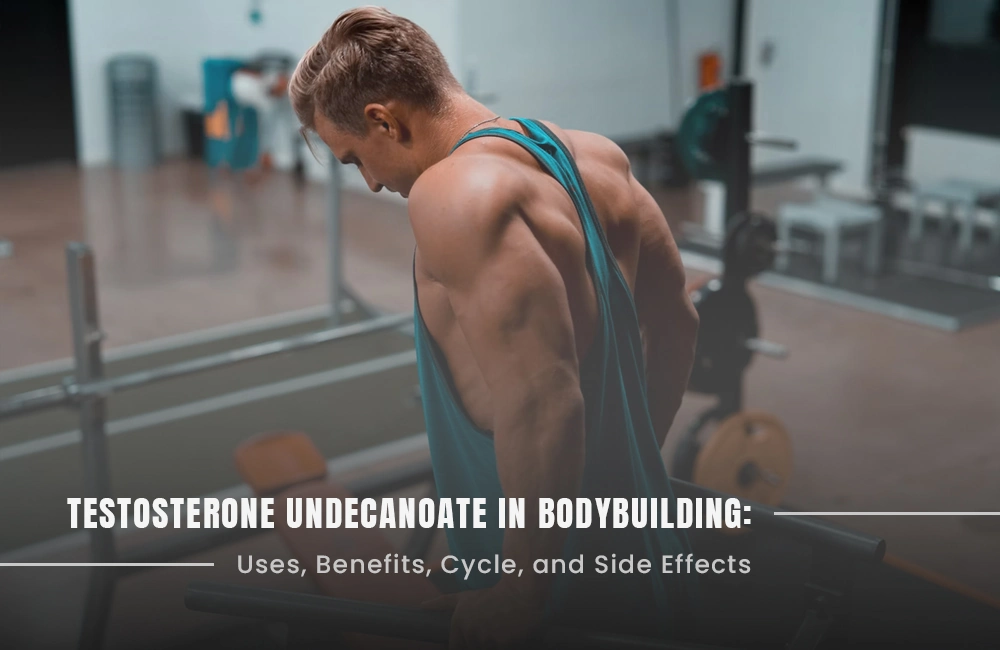 Testosterone undecanoate in bodybuilding