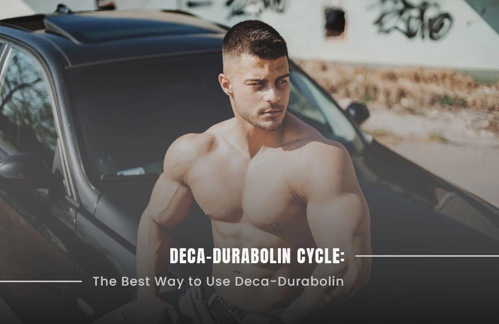 Deca-Durabolin Cycle