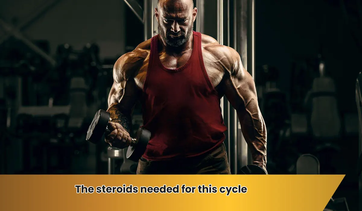 The steroids needed for this cycle