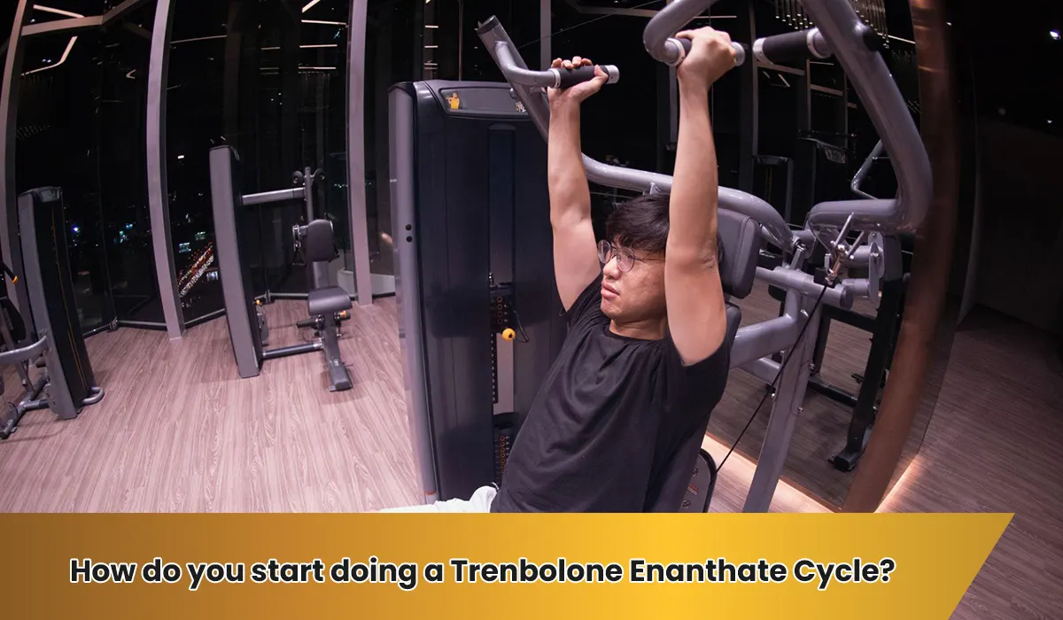 How do you start doing a Trenbolone Enanthate Cycle?